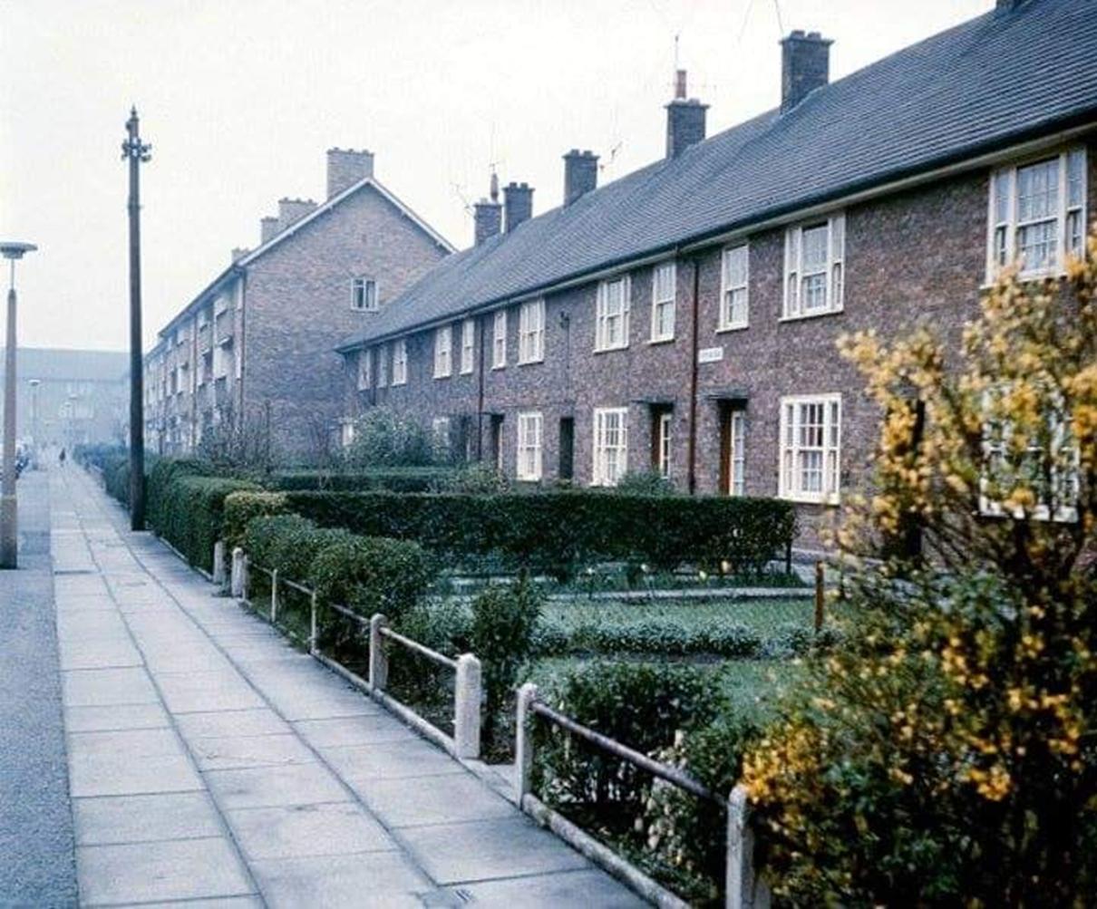 Image may contain: tree, sky, plant and outdoor