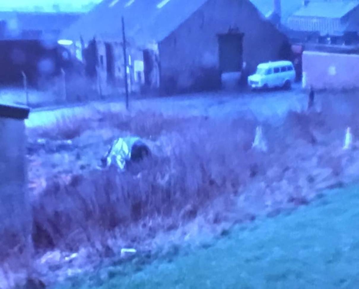 Image may contain: house, outdoor and nature